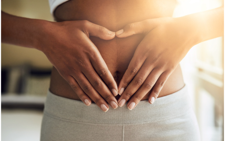 The Surprising Connection Between Your Gut Health and Immune System